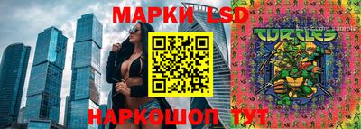 гидропоника Балахна